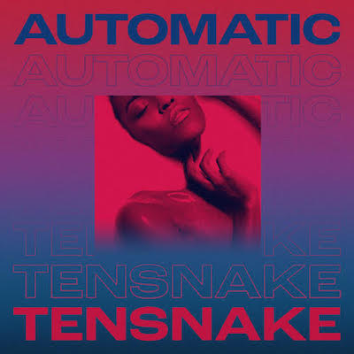 tensnake-automatic