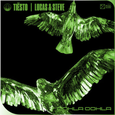 tiesto lucas steve oohla oohla