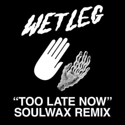 WET LEG - TOO LATE NOW (SOULWAX REMIX)
