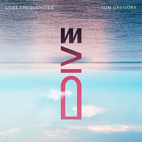 lost-frequencies-tom-gregory-dive-1-1